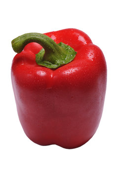 Red Capcicum