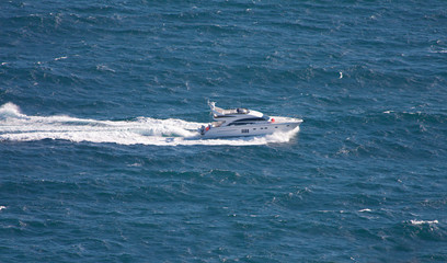speedboat cruising in sea © Alexander Ozerov