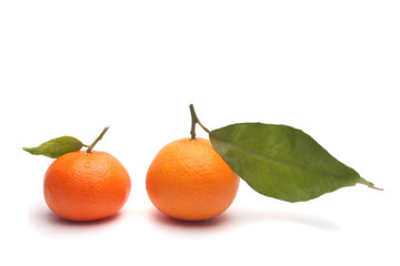 tangerines