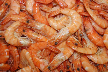 crevettes