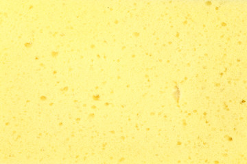 sponge