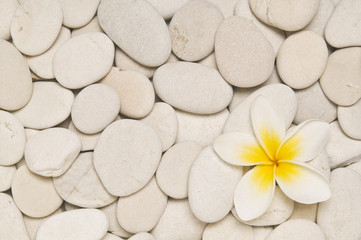 Fototapeta na wymiar Frangipani and white pebbles
