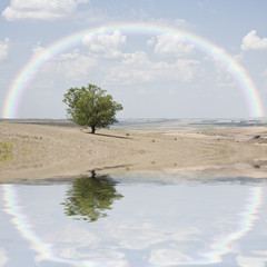 Rainbow and reflection