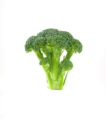 Floret of Brocolli