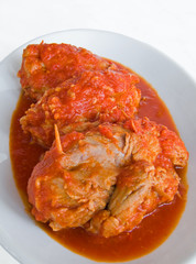 Meat roulade with tomato sauce on plate
