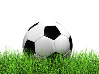 Fototapeta na wymiar Soccer Ball on Grass