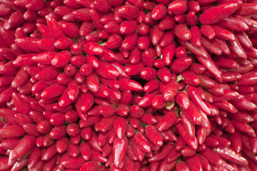 Red pepper texture
