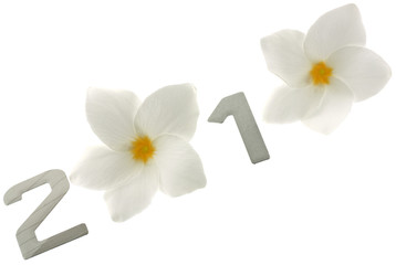 2010 année fleur frangipanier fond blanc