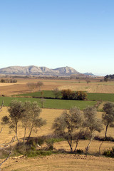 Fototapeta premium torroella de montgri 8