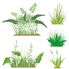Floral and Grass Design Elements