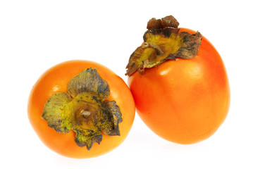 Kaki - Japanese Persimmon 03