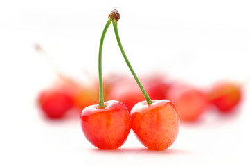 cherry