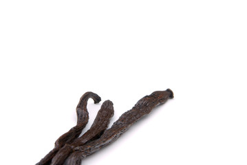 Vanilleschote - vanilla pod 12