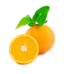 Oranges with leaves on a white background