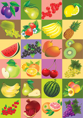 Various fruits on a color background.