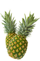 Fototapeta premium Two Pineapple