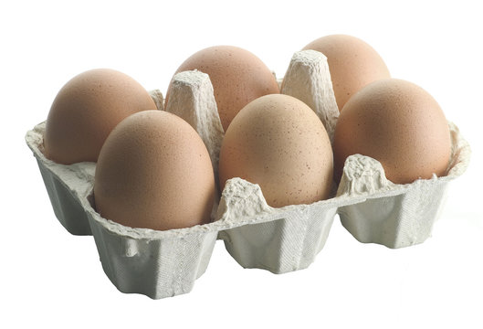 Egg