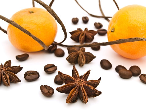 decoration with mandarins