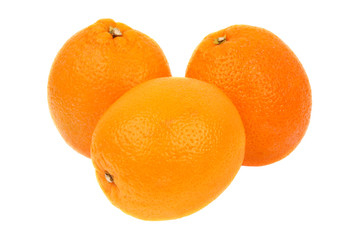 Oranges isolated on white