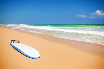 Fototapeta na wymiar Macao plaży w Morze Karaibskie - raj dla surferów