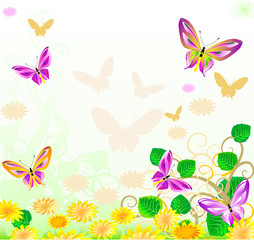 Obraz na płótnie Canvas Butterfly sunset2