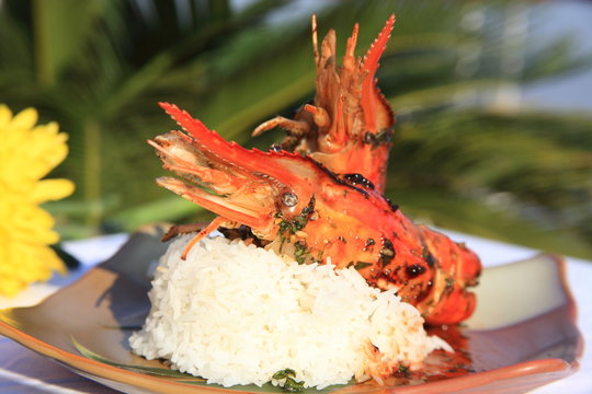 River lobster