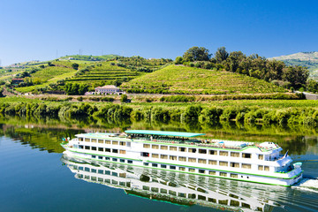 cruise ship at Peso da Regua, Douro Valley, Portugal - obrazy, fototapety, plakaty
