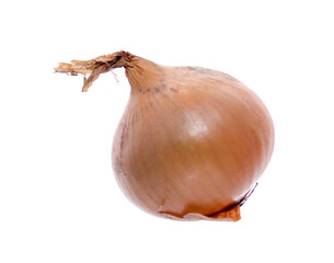 onion isolated on the white background