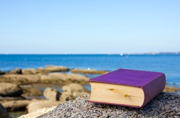 Un livre à la mer