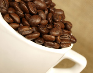 coffee cup on canvas background