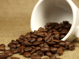 coffee cup on canvas background