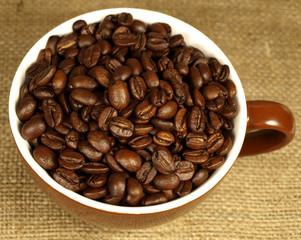 espresso cup on canvas background