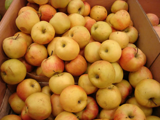 yellow and red apples