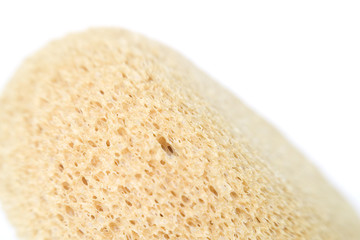 A stock photograph of a detailed close up of a sponge.
