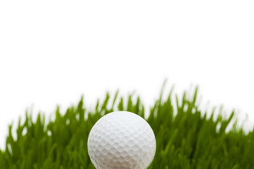 Golf ball on the green grass