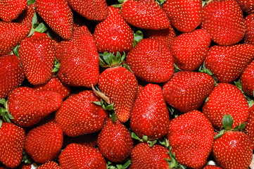 strawberries