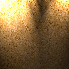 corkboard