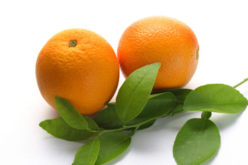 Fresh oranges on white