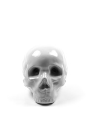 Human Skull