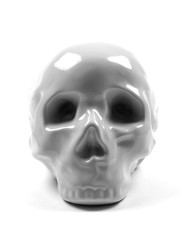 Human Skull