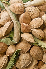 textura de almendras con hojas