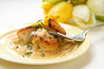 Scallops in terragon  cream sauce