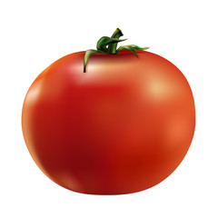 Photo-realistic red tomato - vector illustration