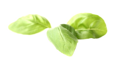 Fototapeta premium Fresh green basil isolated on white