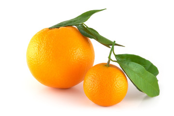 Two perfectly fresh oranges