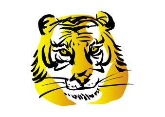 カラーイラスト「虎」