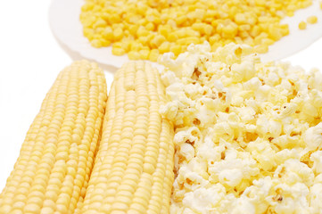 Fresh corn, preserved corn and popcorn