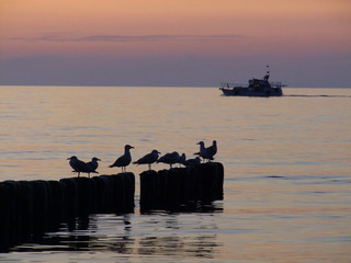 statek i mewy © GKor