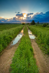 amazing sunset above the filed