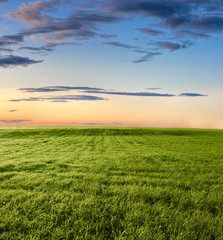 calm sunset above green filed
